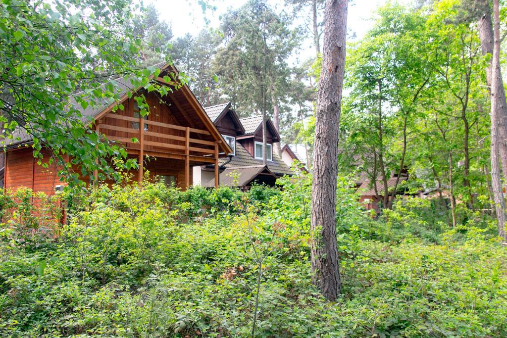 Zahrada ubytování Sztil - Apartamenty i drewniane domki