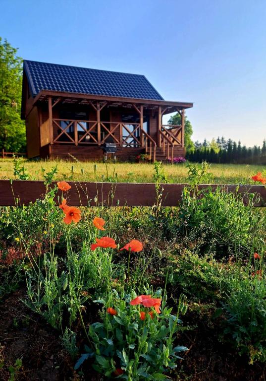 a cabin with a solar roof in a field with flowers at Domki Na Wzgórzu - domek nr 1 in Mrągowo