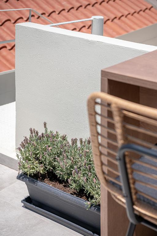 Fotografie z fotogalerie ubytování Lavender suite sea view v destinaci Plataniás