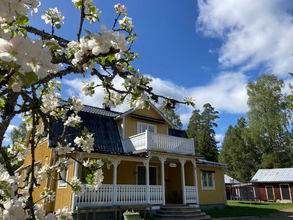 a yellow house with white trim and a flowering tree at Härlig Heden Vakantiehuis in Råda