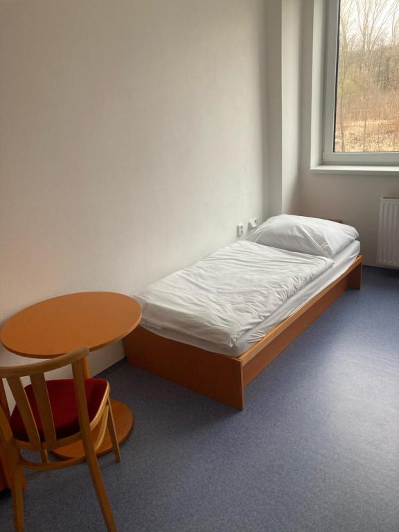 1 dormitorio con cama, mesa y ventana en Ubytování Janovice nad Úhlavou, Rozvojová zóna 186, en Janovice nad Úhlavou