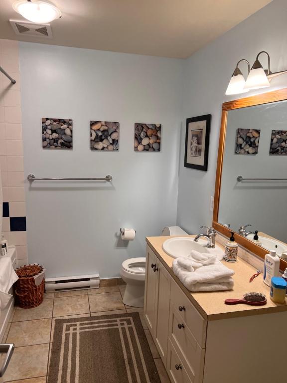 a bathroom with a sink and a toilet and a mirror at Waterfront View of the Inlet, Short Walk to Town in Tofino