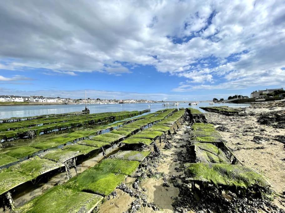 a row of green plants on a beach with water at 30 m des Plages - Port du Magouër - 6 invités in Plouhinec