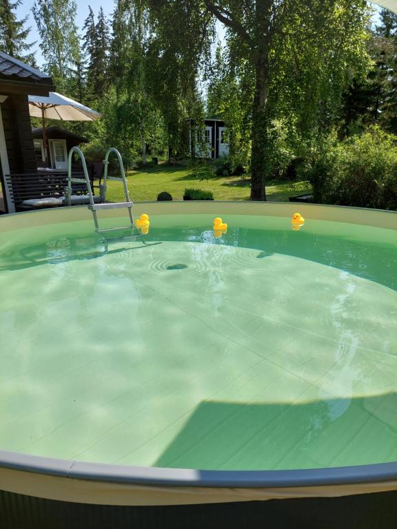Bazén v ubytování Kotoisa mökki Kangasniemellä nebo v jeho okolí