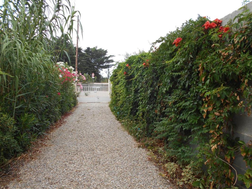 un chemin de jardin avec des fleurs et une clôture dans l'établissement Plein SUD, 5 mn de la mer, grand logement 8 personnes, à Marseillan