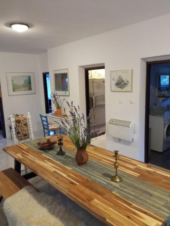 Fotografie z fotogalerie ubytování Apartman Kačić v destinaci Sveti Ivan Dobrinjski