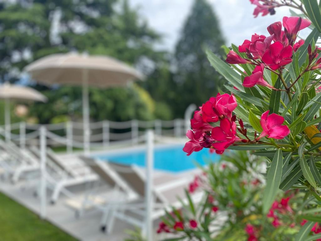 a bunch of pink flowers in front of a pool at Regina e Oriente in Baveno