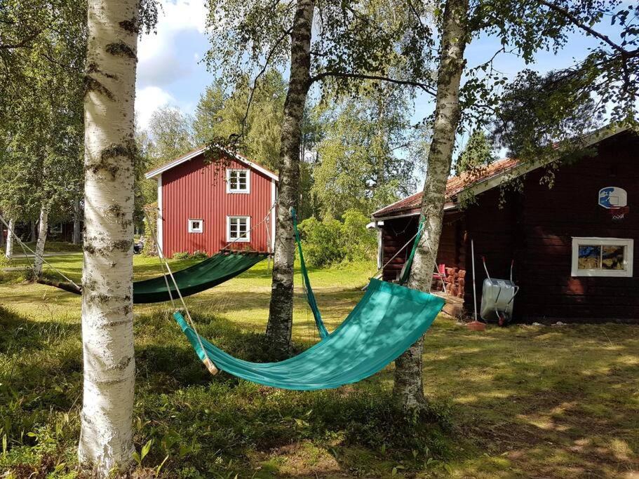 een hangmat tussen twee bomen naast een rode schuur bij Charmig gård med bastu, strandtomt och utedusch i naturskönt område in Sveg