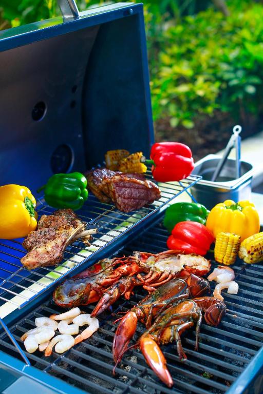 Attrezzature per barbecue disponibili per gli ospiti dell'hotel
