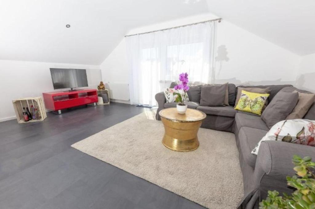 Loft 41 - Housity
