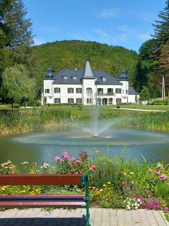 a large house with a pond in front of a building at Újhuta Kastélyszálló in Háromhuta