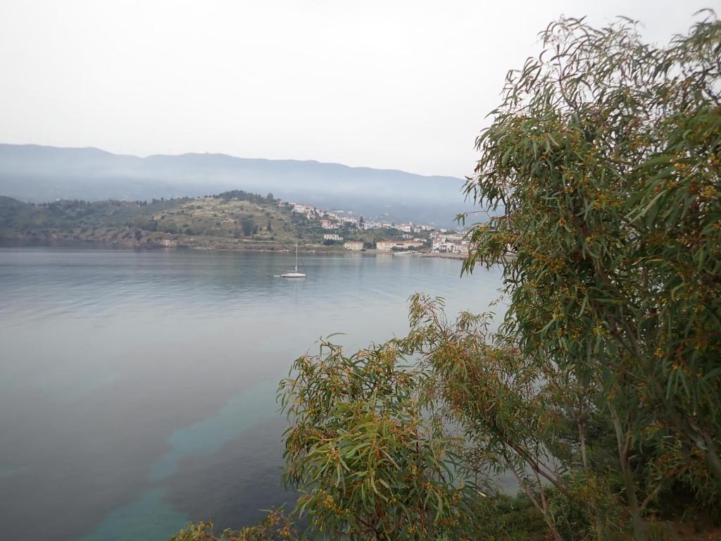 Paesaggio naturale nelle vicinanze dell'appartamento