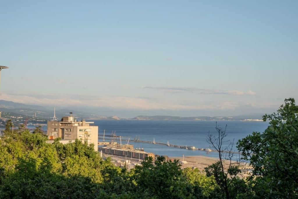a view of a city with a bridge in the water at Apartment Luna in Rijeka