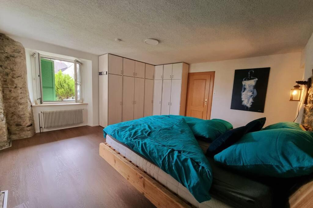 um quarto com uma cama com lençóis azuis e uma janela em Stylish large 4 room apartment close to the center em Grenzach-Wyhlen