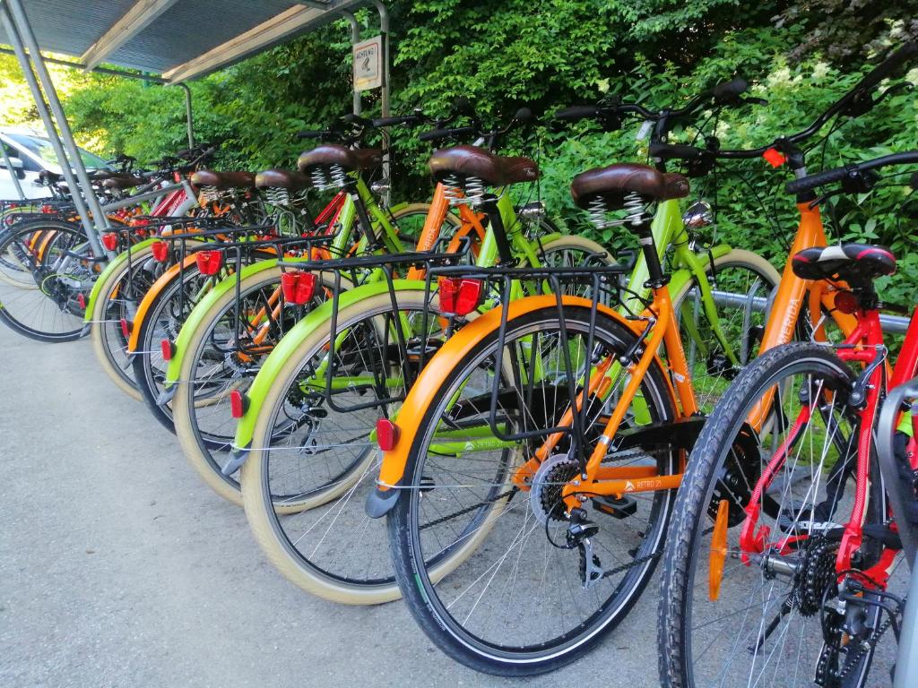 Jazda na bicykli v okolí ubytovania Dormio Resort Obertraun