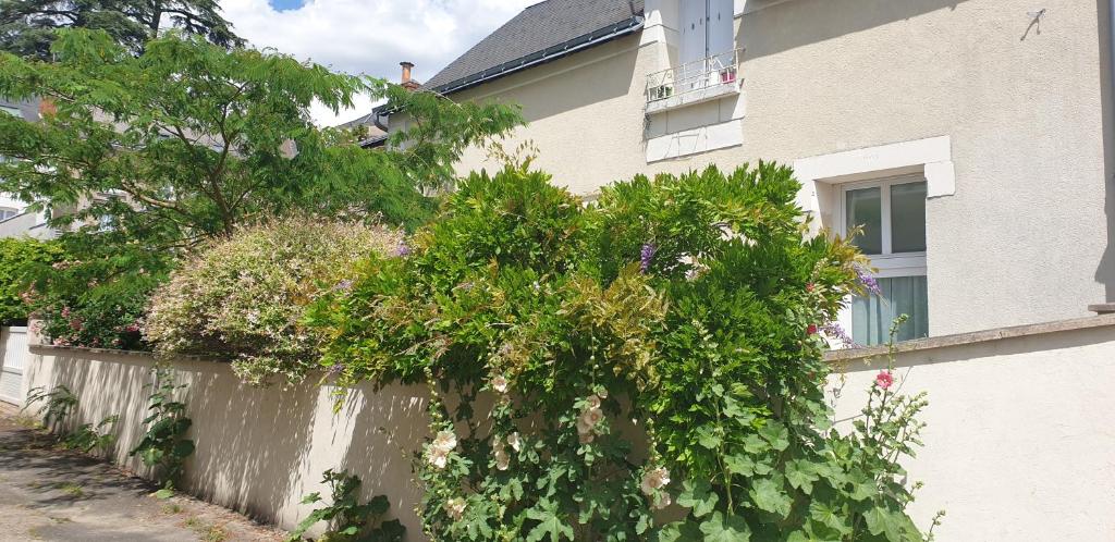 uma cerca com um arbusto ao lado de um edifício em Au fil de la Loire em Vouvray