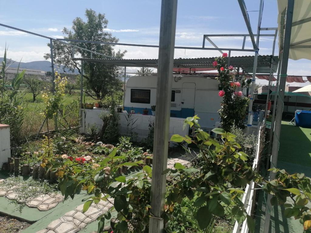 vistas al jardín desde el interior de un invernadero en Asc Amigos Rural Caravan Room, en Sax