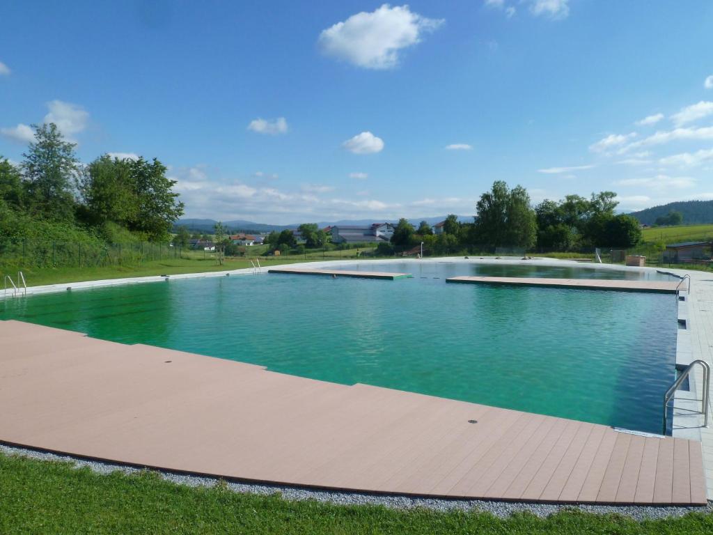 une grande piscine d'eau dans un parc dans l'établissement Idyllisch gelegene Ferienwohnung im Herzen des bayerischen Waldes, à Zachenberg