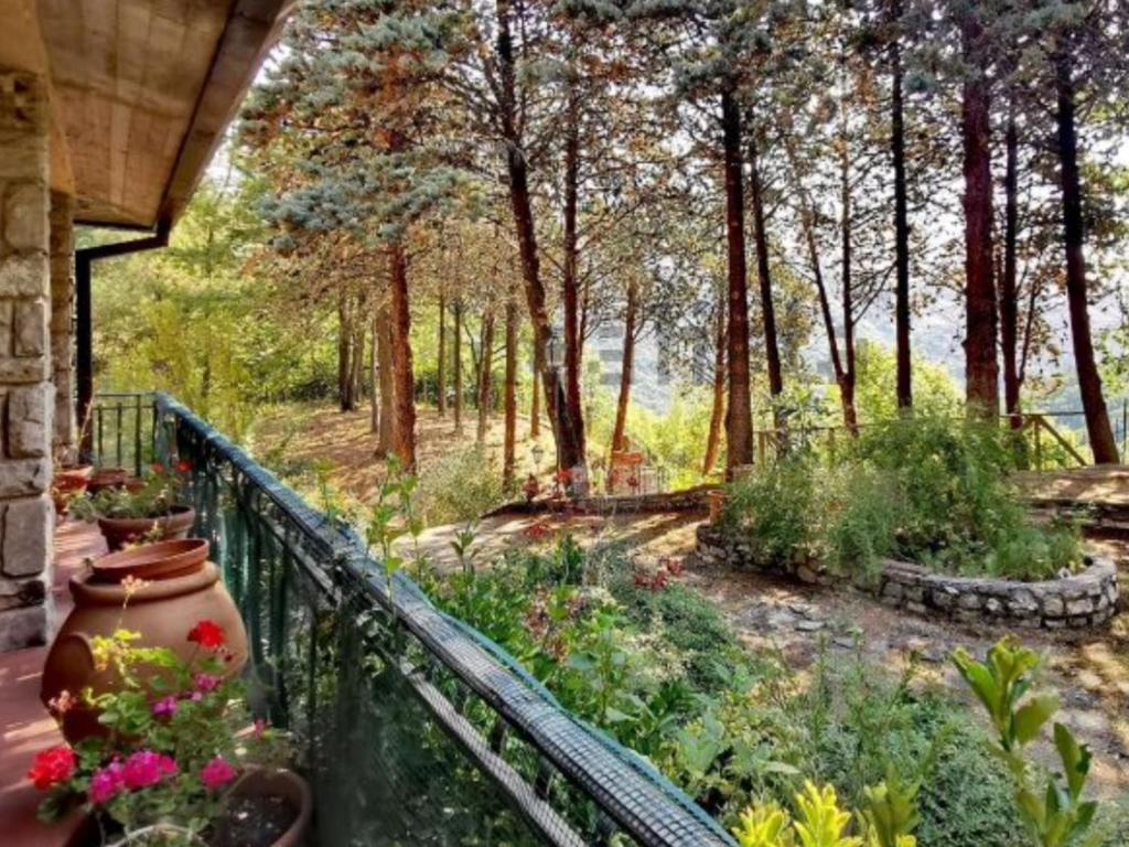 Zahrada ubytování Villamonestevole501