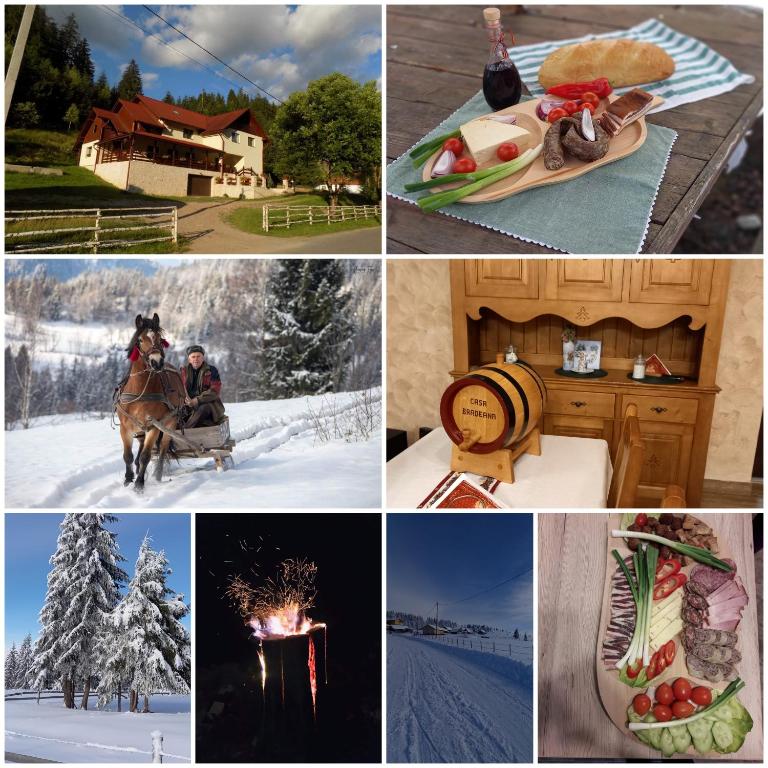 Fotografie z fotogalerie ubytování Pensiunea agroturistică Casa Brădeana v destinaci Albac