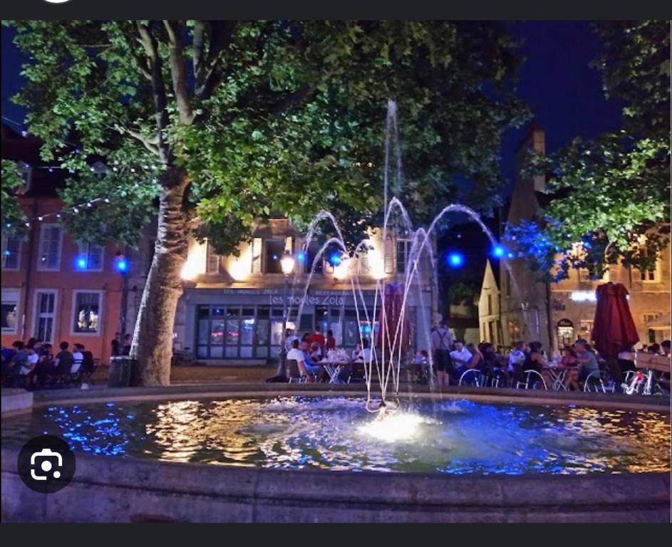 une fontaine au milieu d'une ville la nuit dans l'établissement Tulipe21, à Dijon