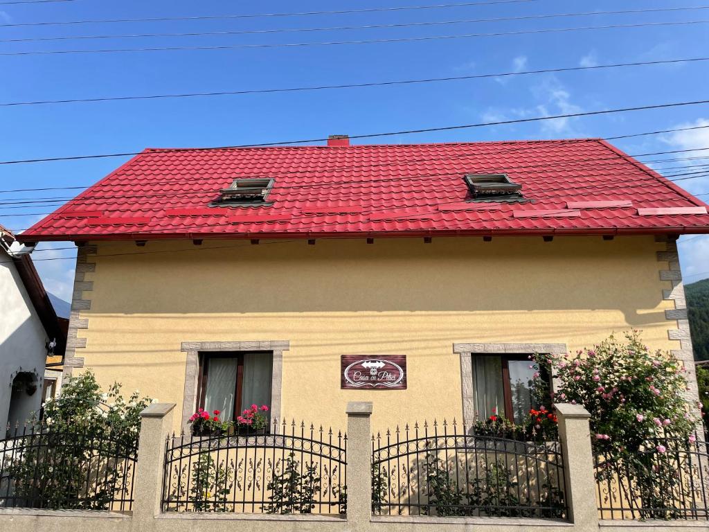 Casa cu Pitici - Standard Villa