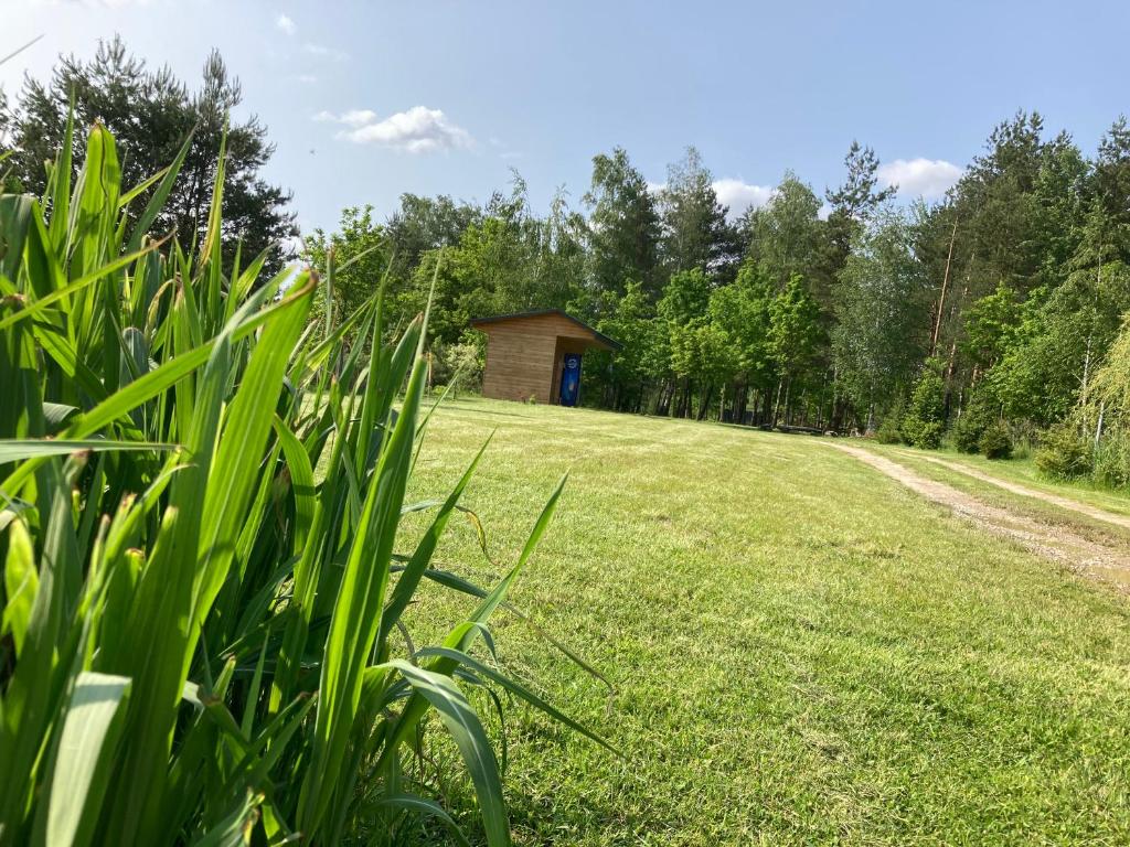 a field with a cabin in the distance at Leśne zacisze-pole namiotowe in Pisklaki