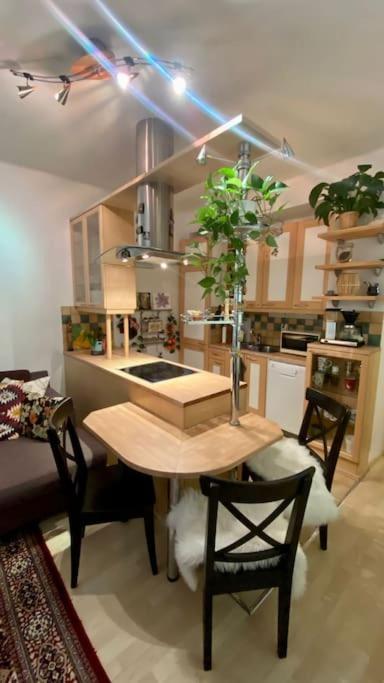 una cocina con una mesa con una maceta. en Lovely apartment in the centre, street level and inner yard en Helsinki