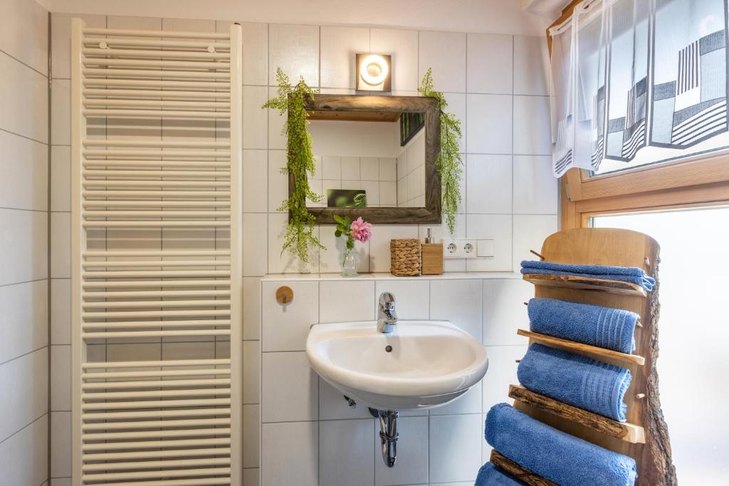 a bathroom with a sink and a mirror at Höri-glück in Öhningen