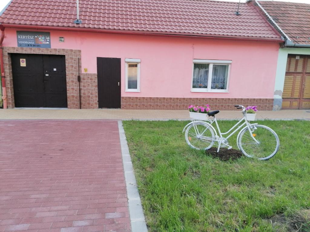 Rowery dostępne w obiekcie Kertész Vendégház lub w pobliżu