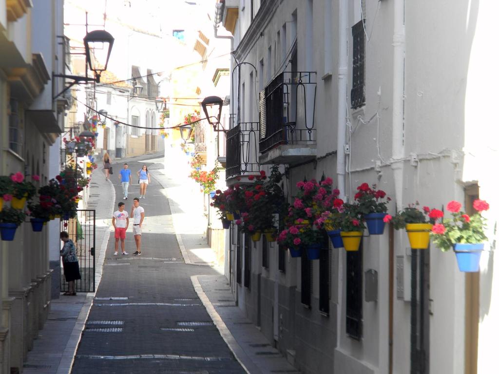 a narrow alley with potted plants and people walking down it at The Coronel´s House in Estepona