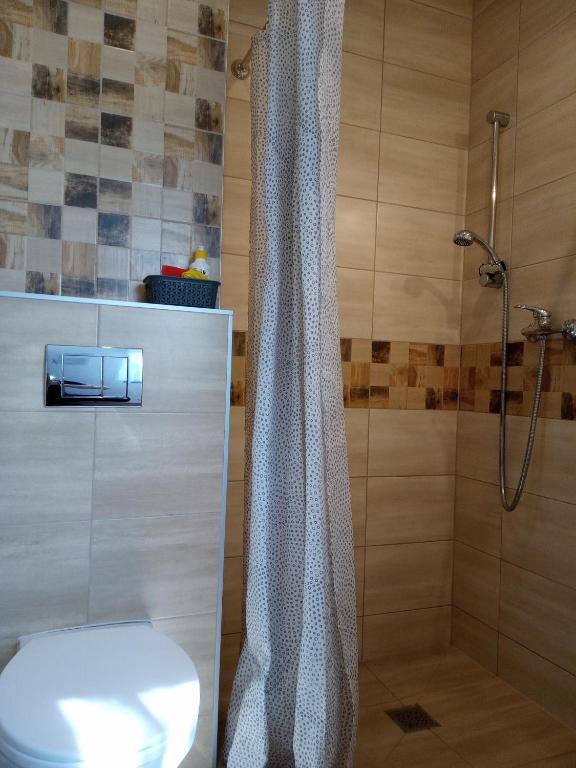 AQUILA Pokoje Gościnne - 11