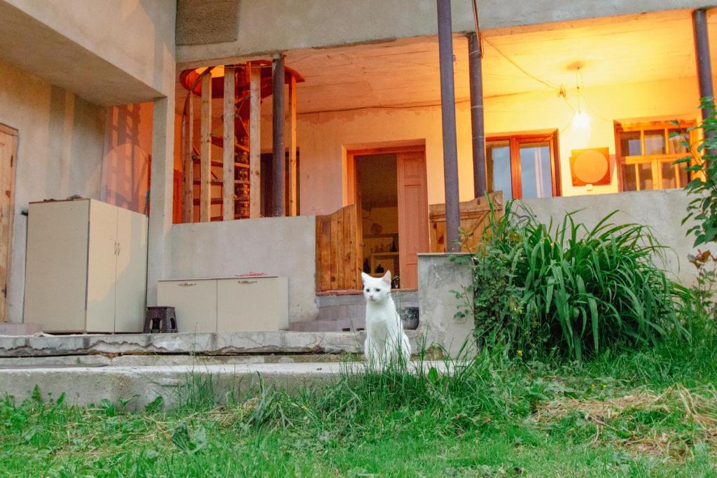 Zahrada ubytování Mishgu Qor