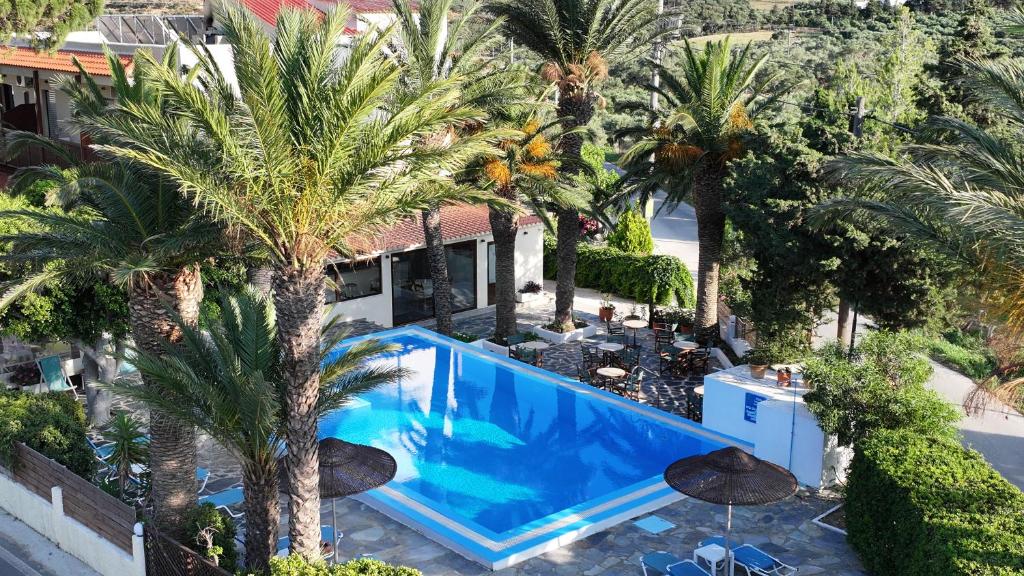 una vista aérea de una piscina con palmeras en Oasis Apartments & Rooms, en Plakias