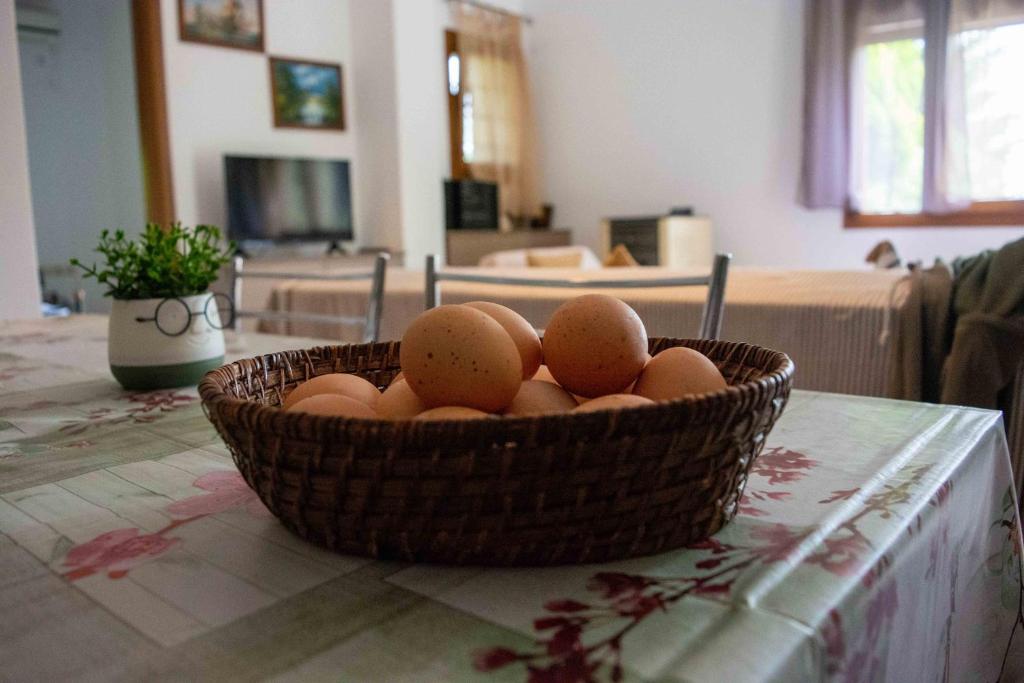 TV a/nebo společenská místnost v ubytování Efi's Guest House