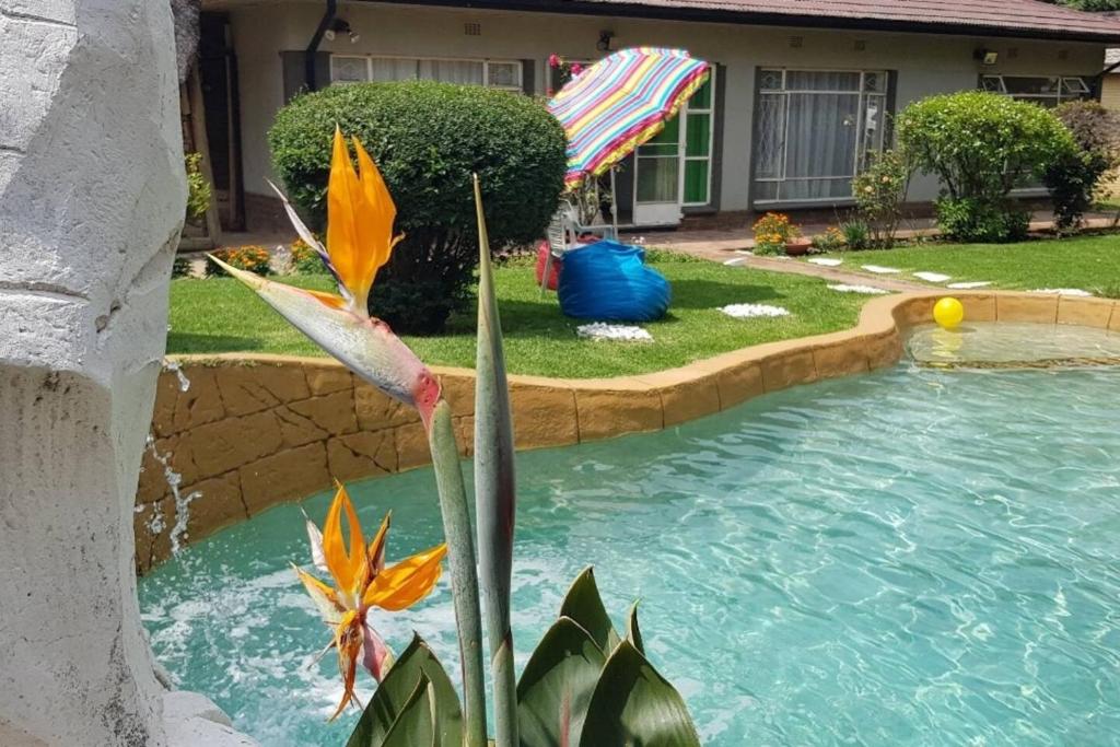 a swimming pool with an umbrella next to a house at Alberton Guest House in Alberton