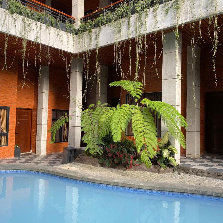 Bazén v ubytování Pariban Hotel nebo v jeho okolí