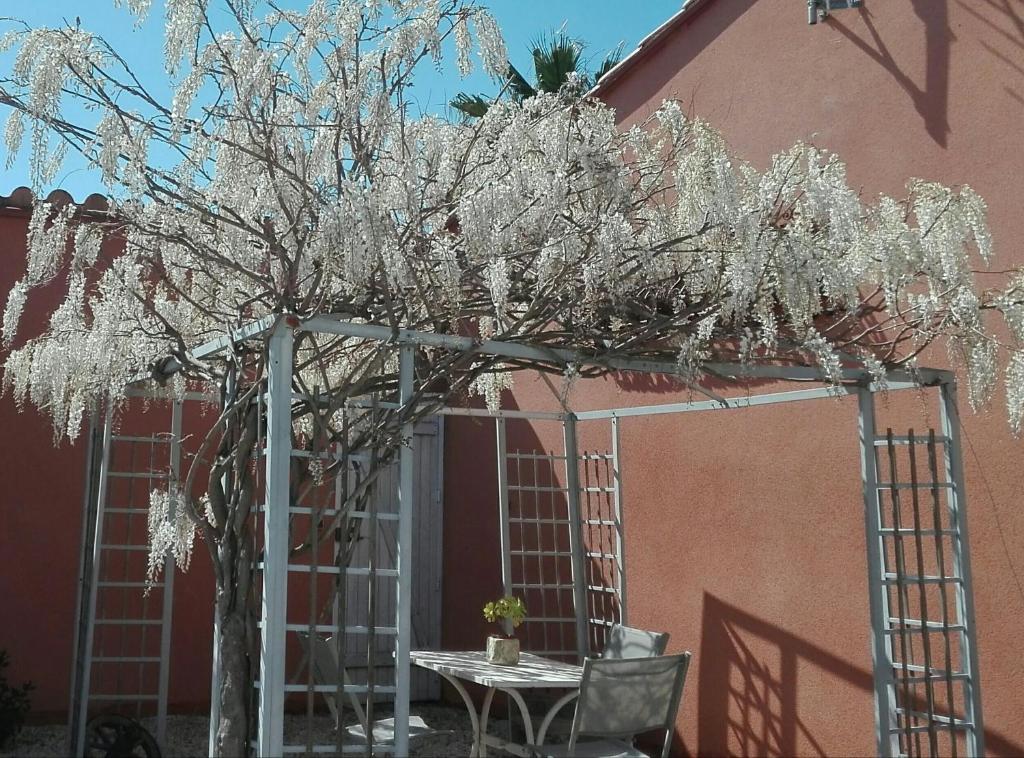 une table et une chaise sous une pergola avec un arbre dans l'établissement GITE MAS URANIE, à Le Soler