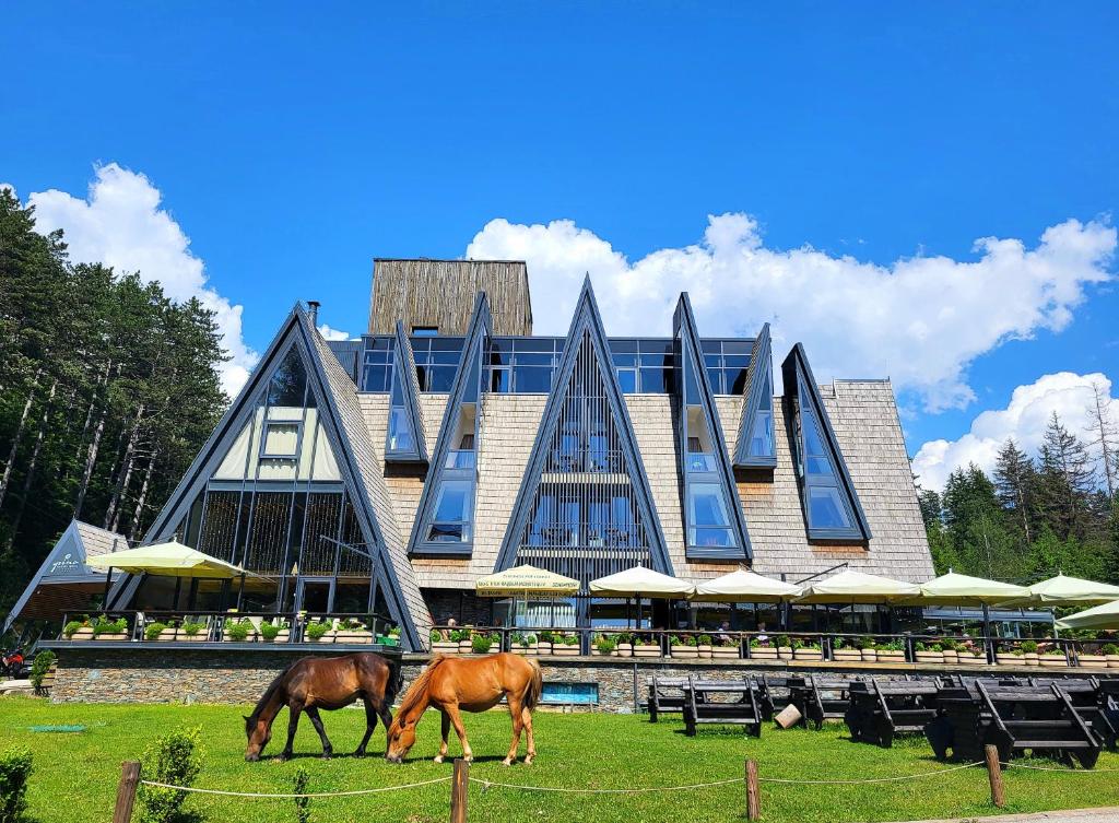two horses grazing in the grass in front of a building at Pino Nature Hotel, BW Premier Collection in Sarajevo