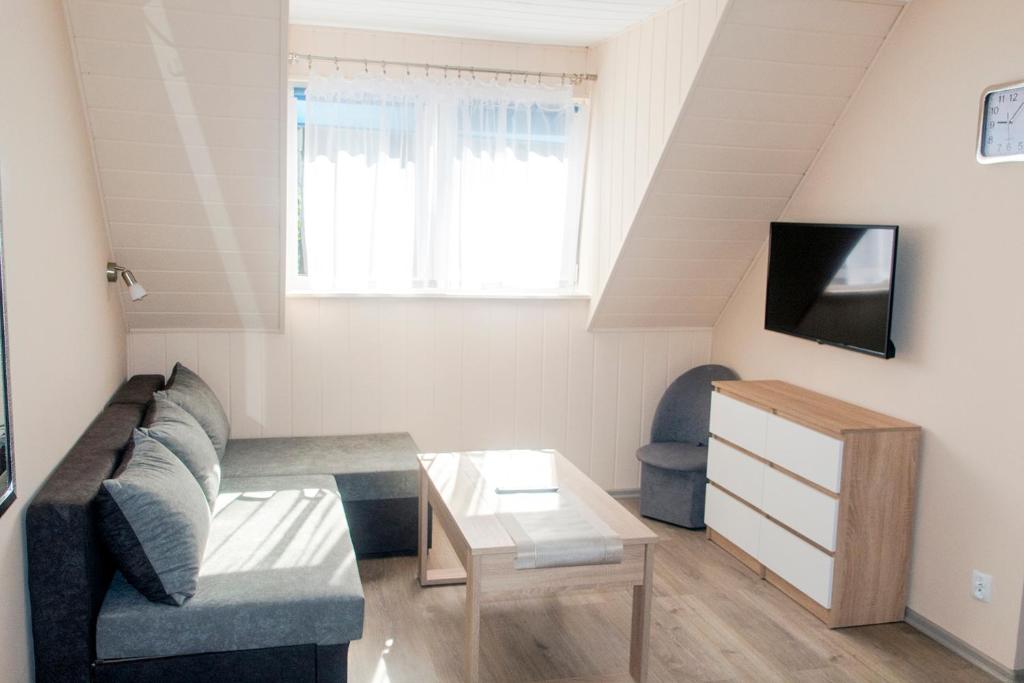 TV a/nebo společenská místnost v ubytování Sztil - Apartamenty i drewniane domki