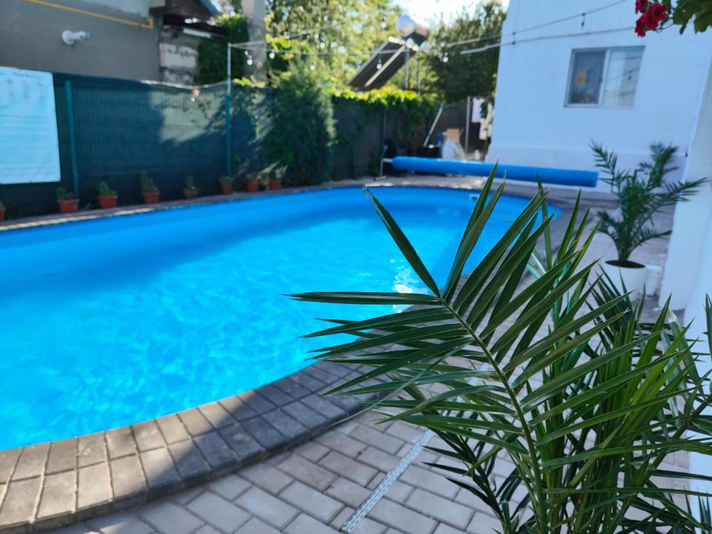 a swimming pool with a palm tree in front of a house at Vila Fifi Costinesti in Costinesti