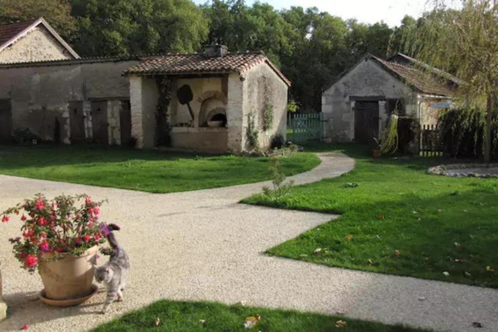 Un cane che corre in un giardino con un vaso di fiori di Les Tortues a La Bussière