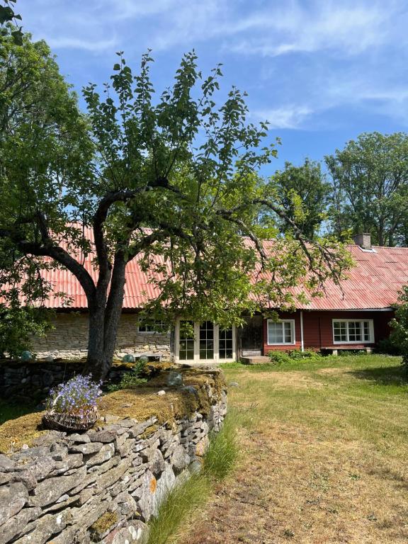 Aaviku Holiday Houses في Vanamõisa: منزل من الطوب مع شجرة وجدار حجري