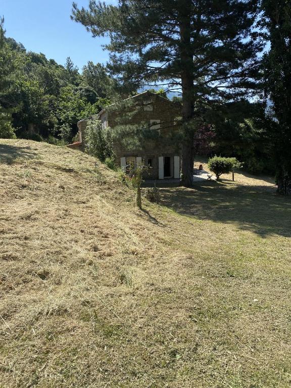 una vieja casa de piedra en una colina con un árbol en Buvolaccia, 