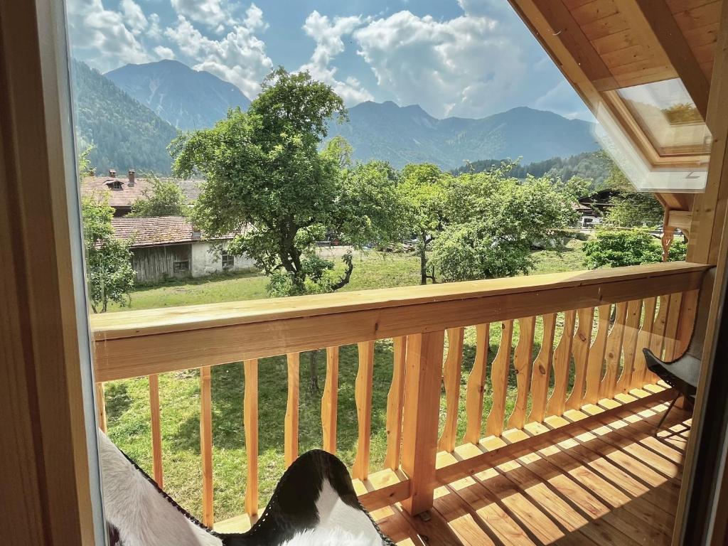 Alpen Lodge in Osterhofen - Berge, Ruhe & Natur في بايريشزيل: كلب يستلقي على شرفة مطلة على الجبال