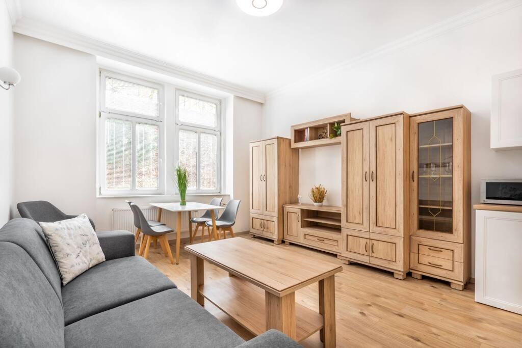 Apartment HOT SPRING, Karlovy Vary (updated prices 2024)