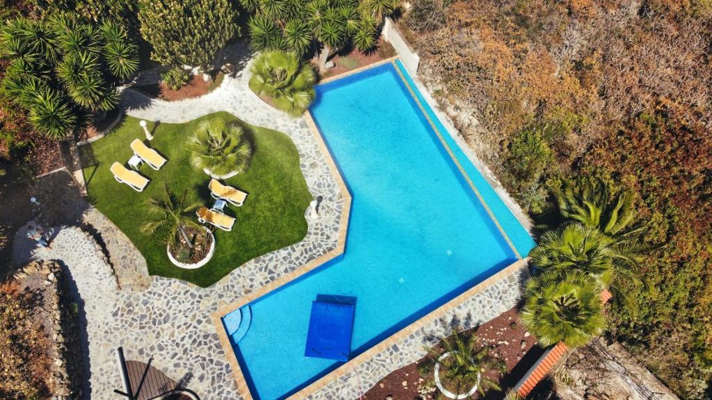 an overhead view of a swimming pool with palm trees at Finca Vino Tinto 1 in Icod de los Vinos