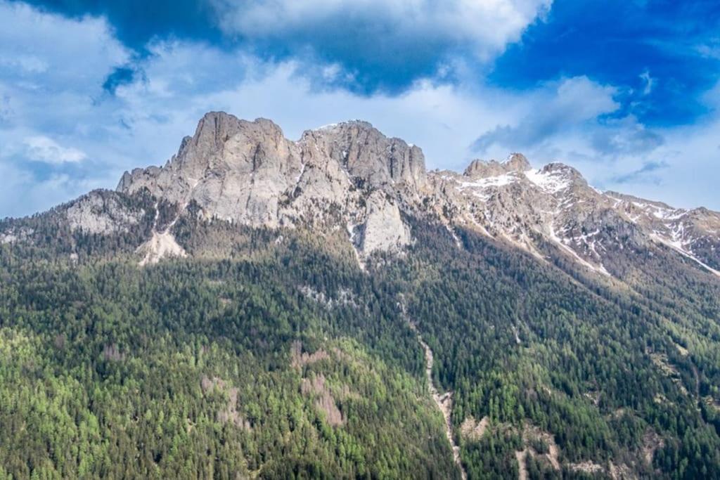 una imagen de una montaña con árboles delante en Sport & natura in Trentino! en Vigo di Fassa