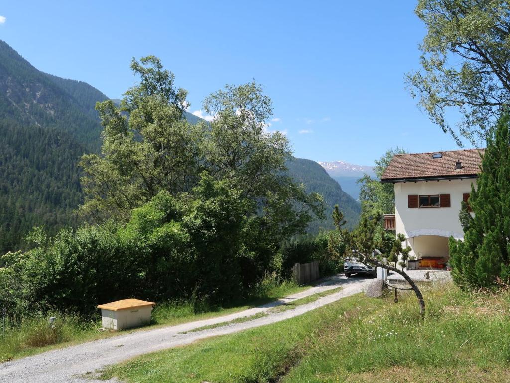Příroda nedaleko apartmánu