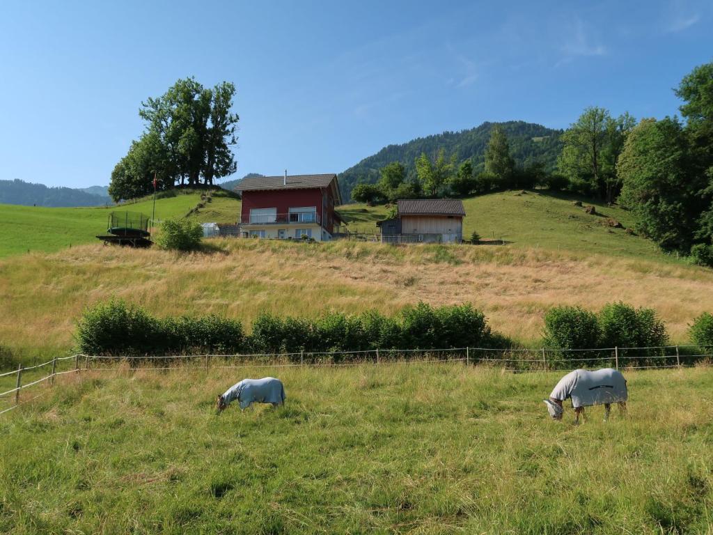 deux chevaux paissant dans un champ devant une maison dans l'établissement Apartment Luxenweid by Interhome, à Reichenburg